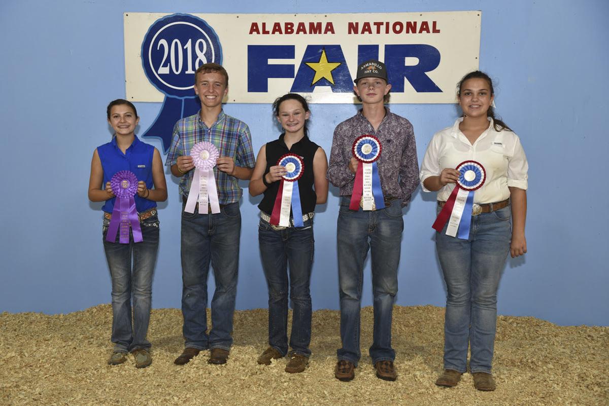 Alabama National Fair-sheep 2018 (3).jpg