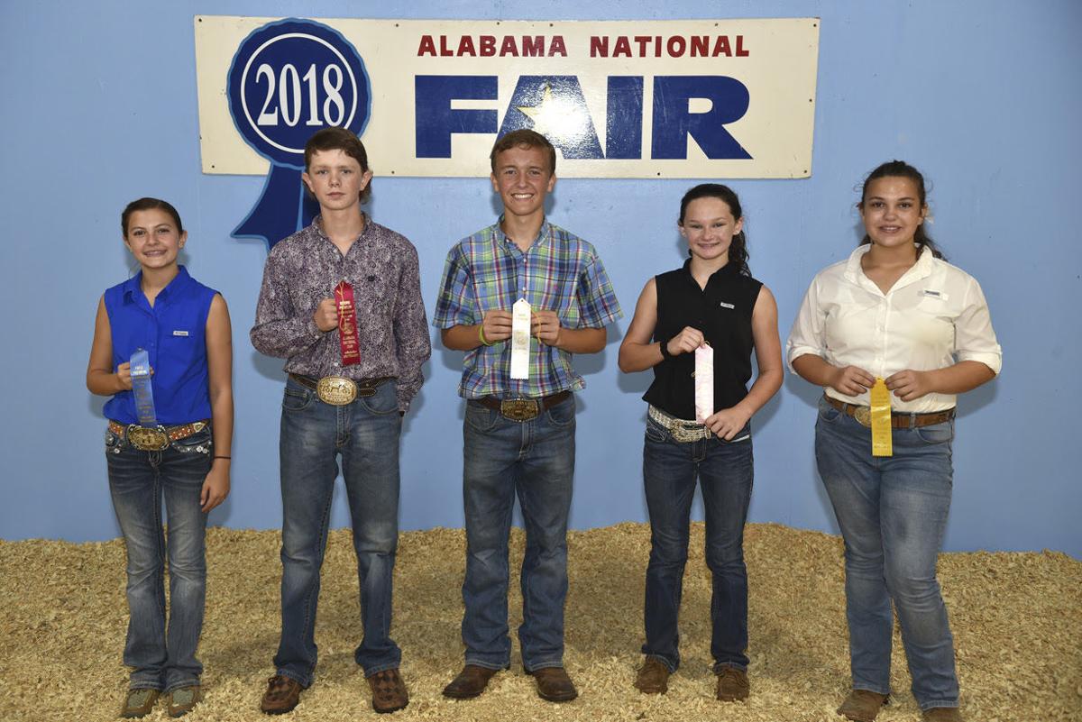 Alabama National Fair-sheep 2018 (4).jpg