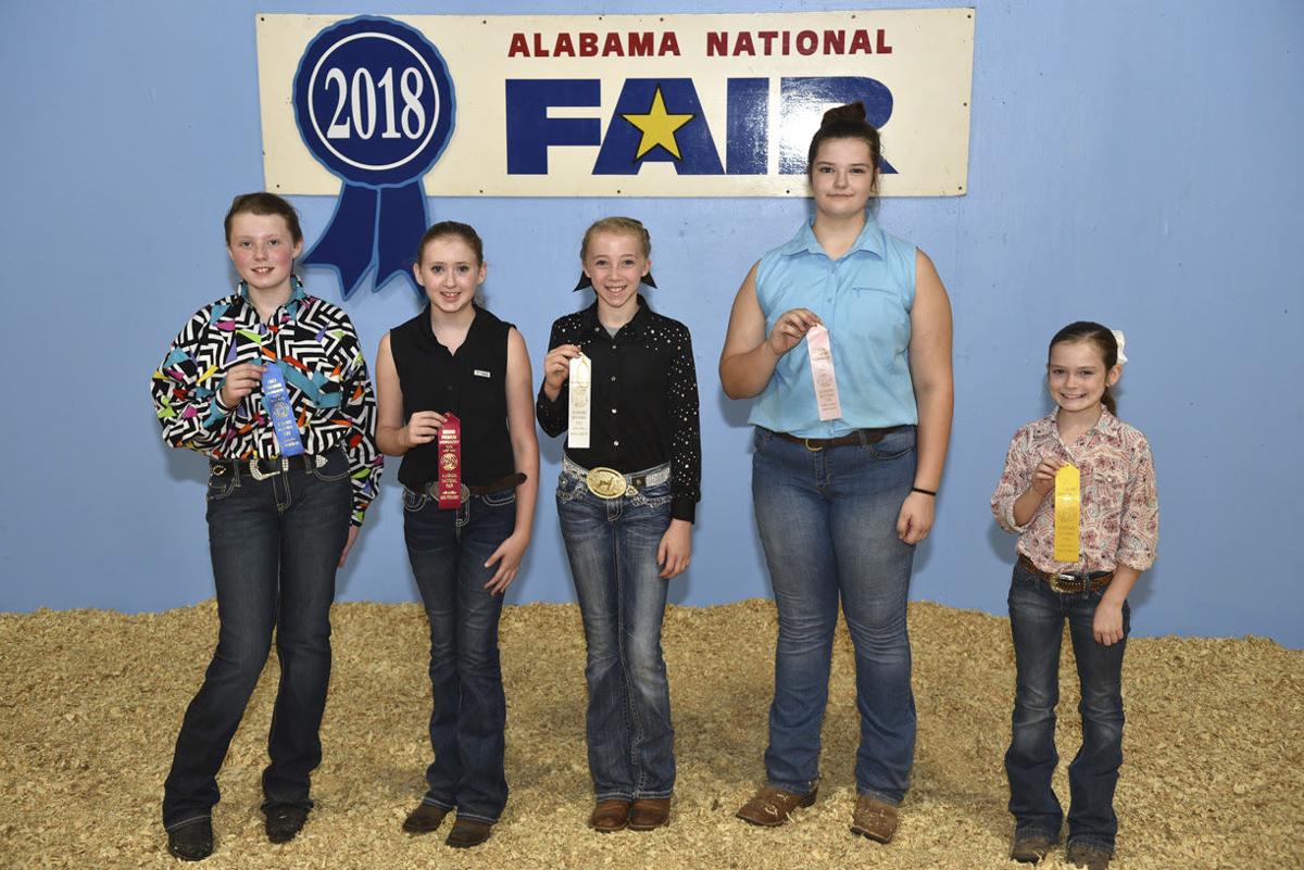 Alabama National Fair-sheep 2018 (6).jpg
