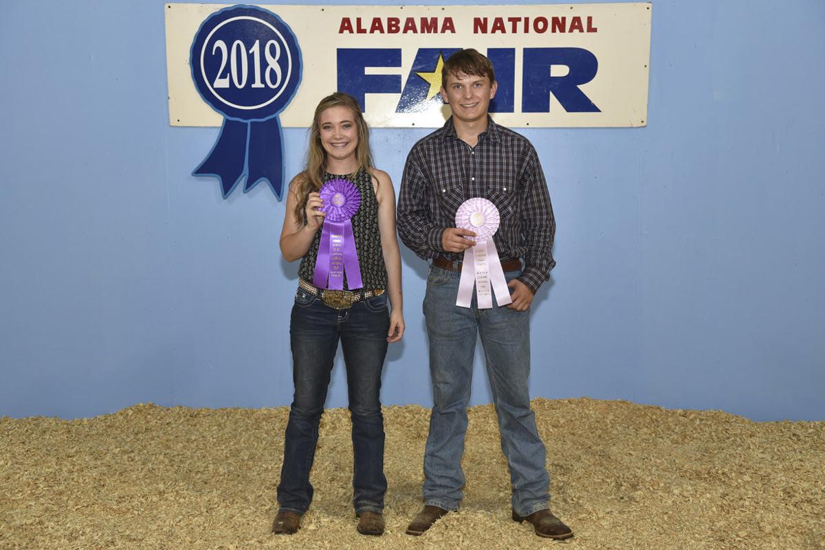 Alabama National Fair-sheep 2018 (7).jpg