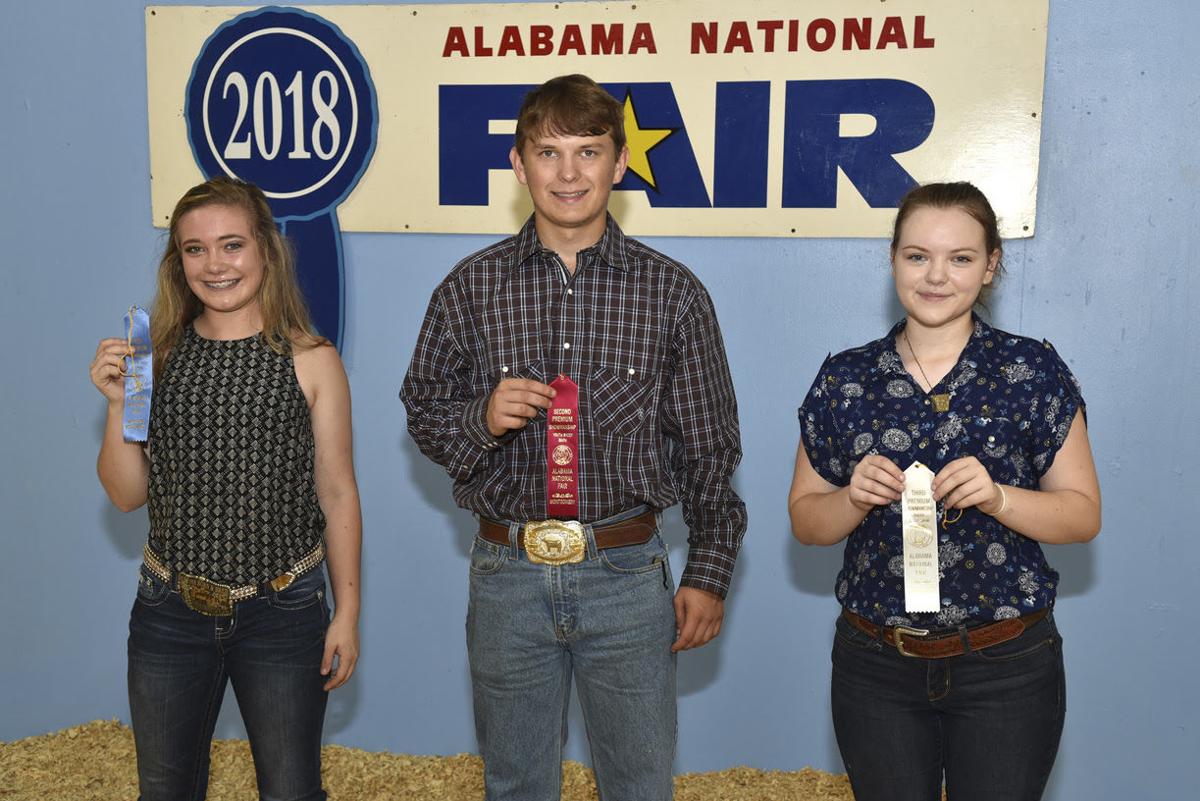 Alabama National Fair-sheep 2018 (8).jpg