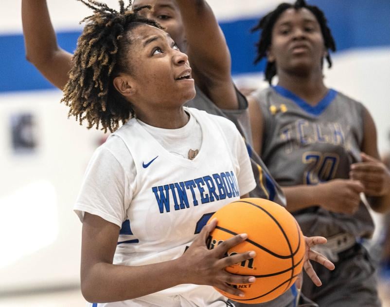 AnnistonStar.com - Prep basketball: Kya Brown, Winterboro leads 1A-3A All-Talladega County team image