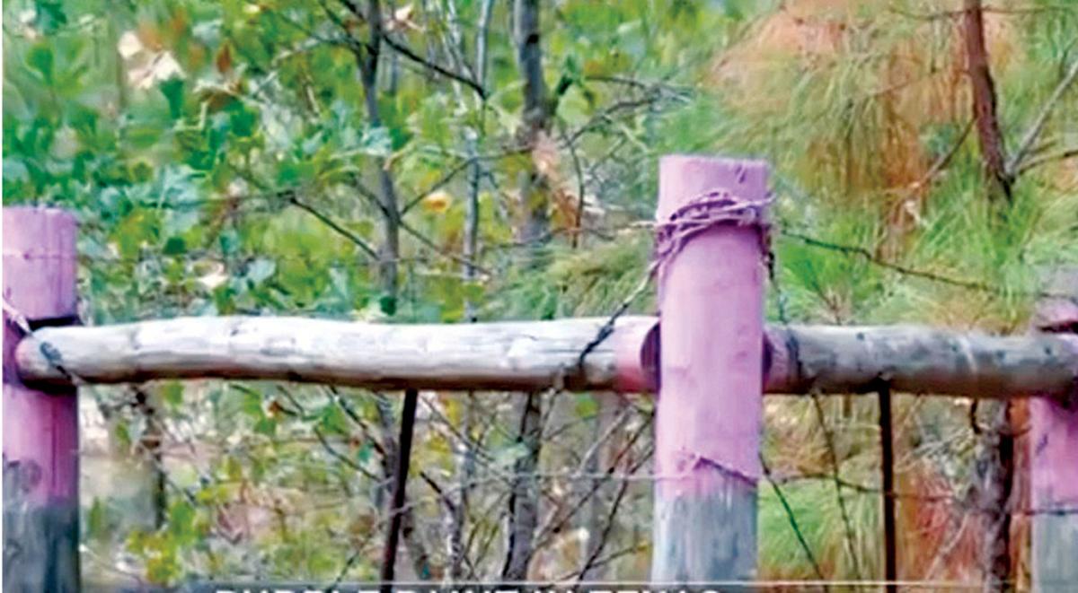 Alabama law allows purple paint on trees to mean same as 'no