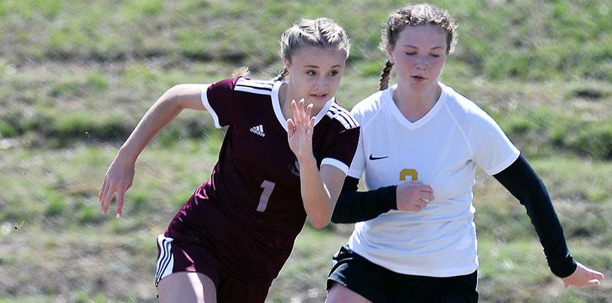 AnnistonStar.com - Calhoun County soccer: Donoho girls are champions again image