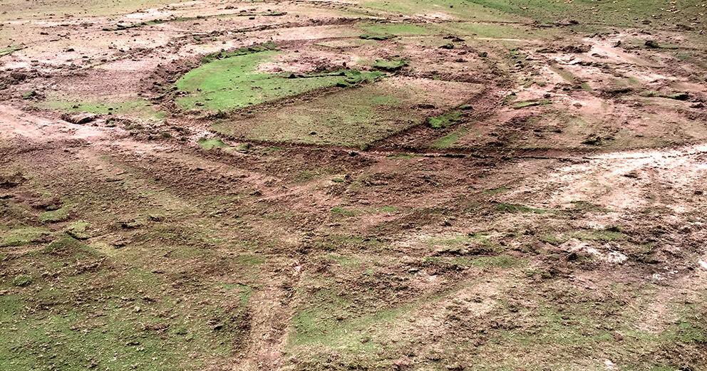 3 500 Reward Offered In Connection With Case Of Destroyed Green At 3 500 Reward Offered In Connection With Case Of Destroyed Green At