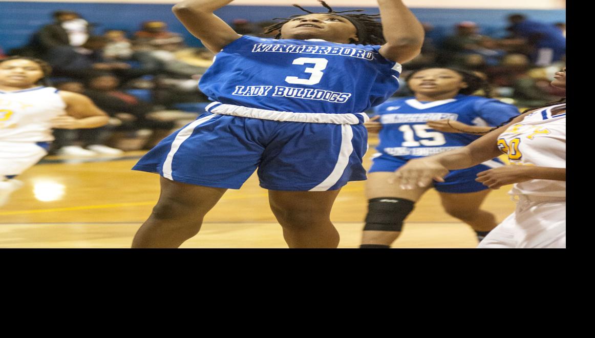 AnnistonStar.com - Brown duo leads Winterboro past Sylacauga image