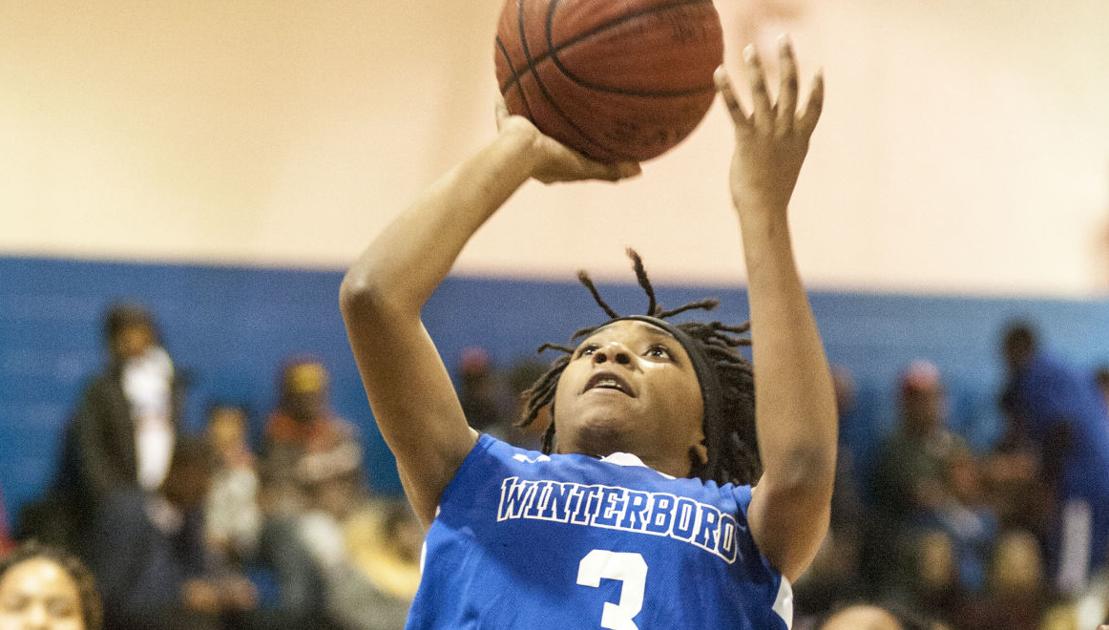 AnnistonStar.com - Brown duo leads Winterboro past Sylacauga image