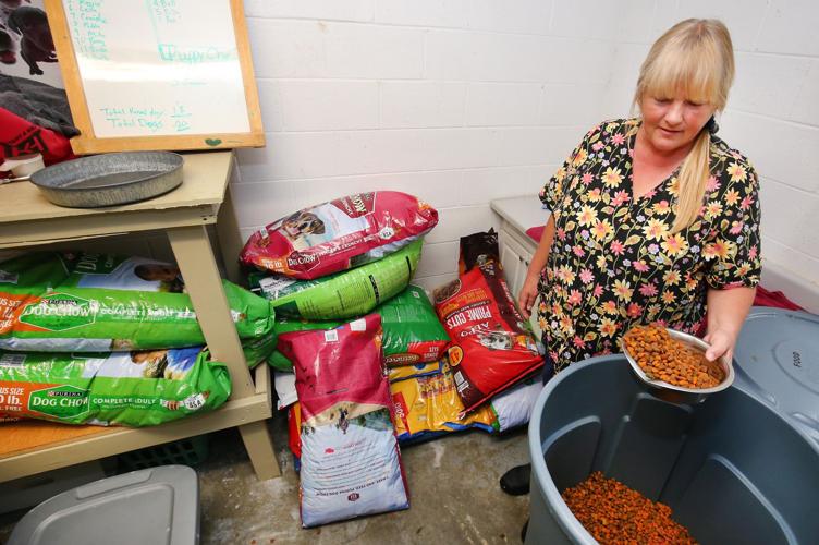 League For Animal Welfare Slideshows