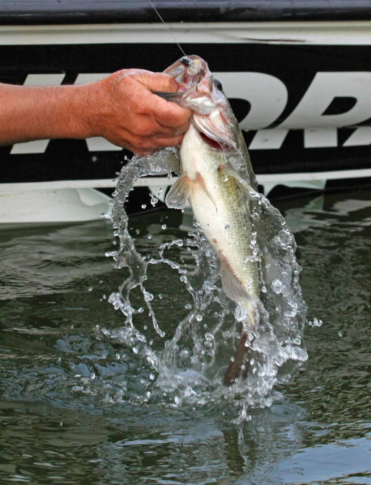 Youth Fishing Derby slated for Saturday at Lake Howard | The Daily Home