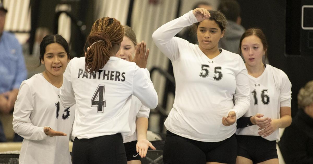 AnnistonStar.com - Prep volleyball: Ohatchee, Donoho, PV punch tickets to state image