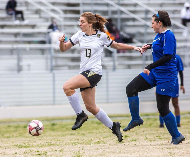 AnnistonStar.com - Adyson Hendrix, Lincoln highlight All-County team image