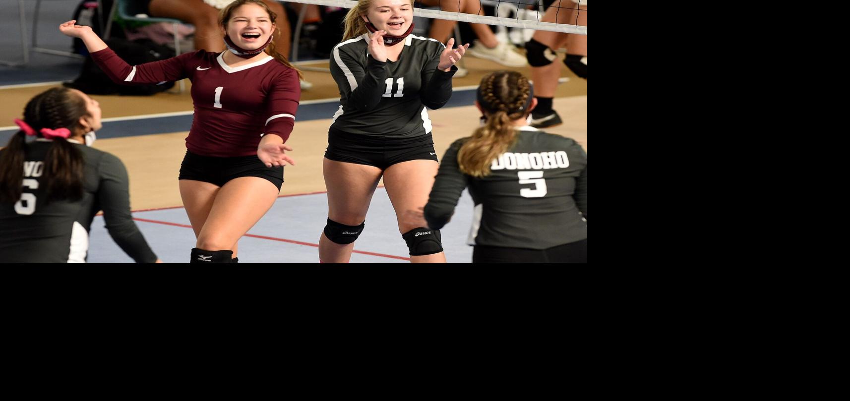 AnnistonStar.com - Photos: Donoho in state volleyball tournament image