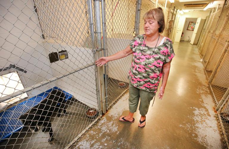 League For Animal Welfare Slideshows