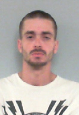 Childersburg man pleads guilty to rape, sodomy of 14-year-old; charges ...
