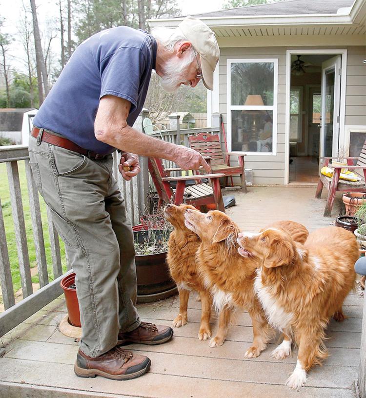 Jacksonville city leaders update animal control law