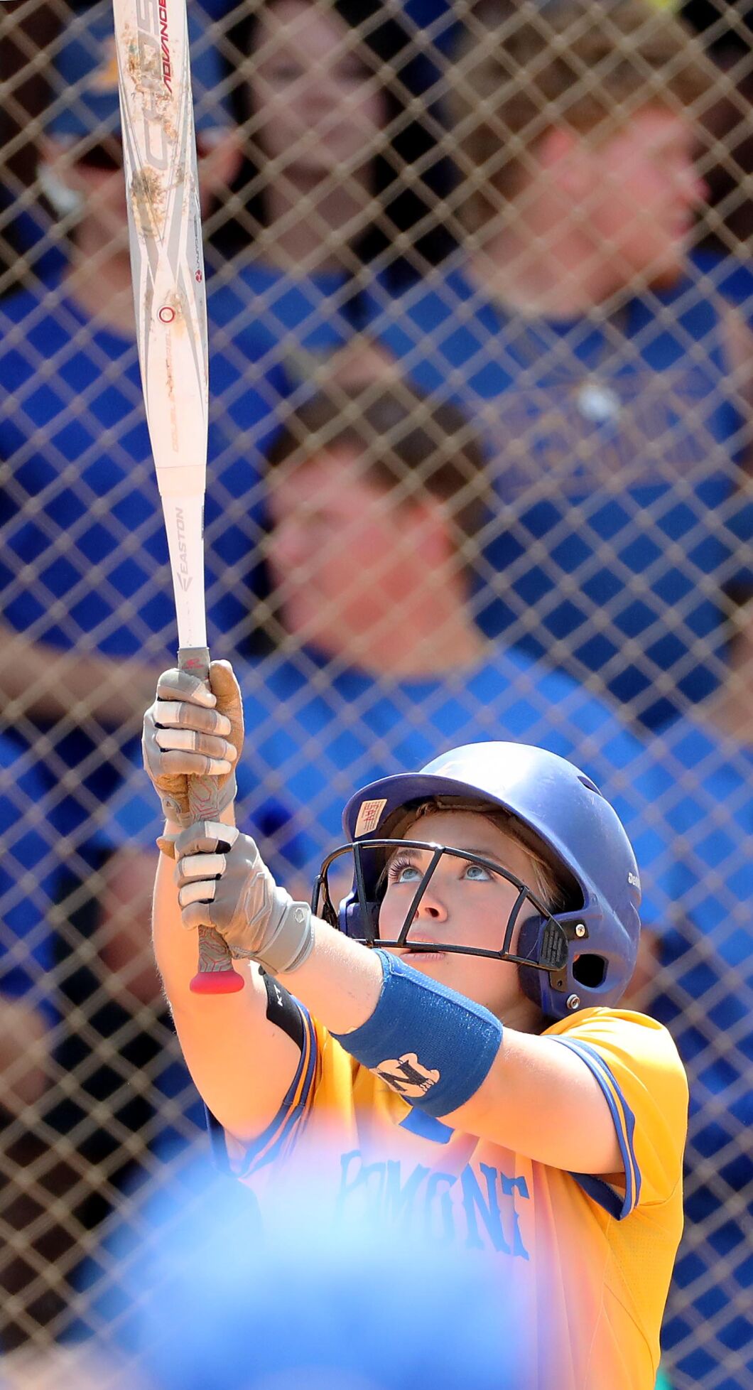 Piedmont vs Mobile Christian softball