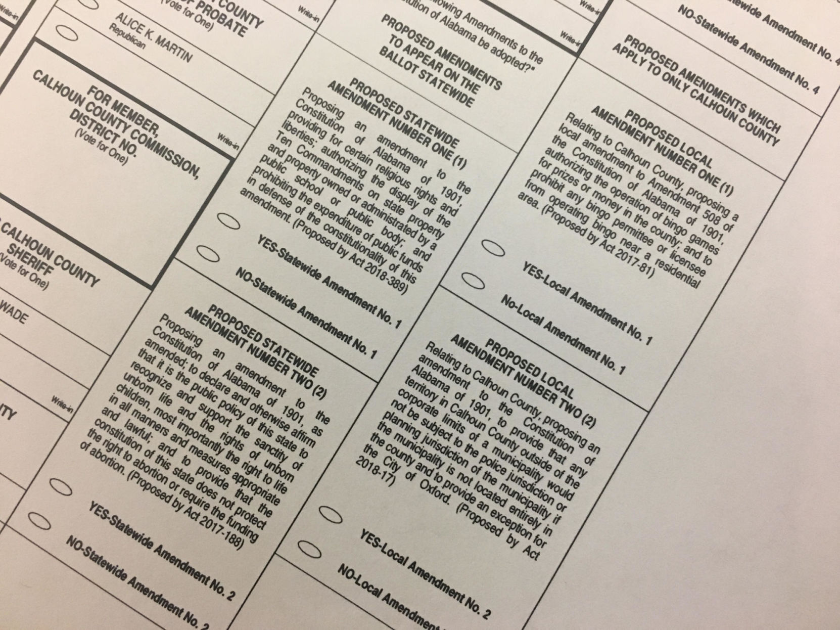 Voters OK Changes To State Constitution | News | Annistonstar.com