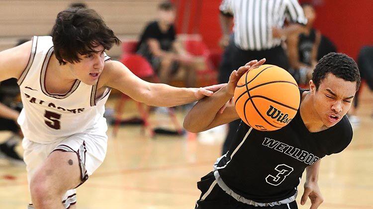 AnnistonStar.com - Photos: Wellborn vs Donoho Boys Calhoun County Basketball Tournament Game image