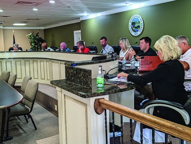 Springville Council looks to fill a spot on council