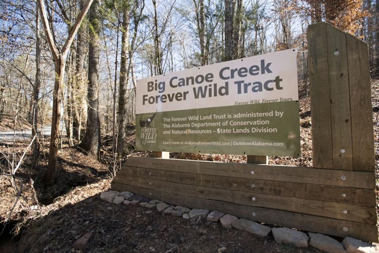 Photos: Big Canoe Creek Nature Preserve opens in Springville, The Daily  Home