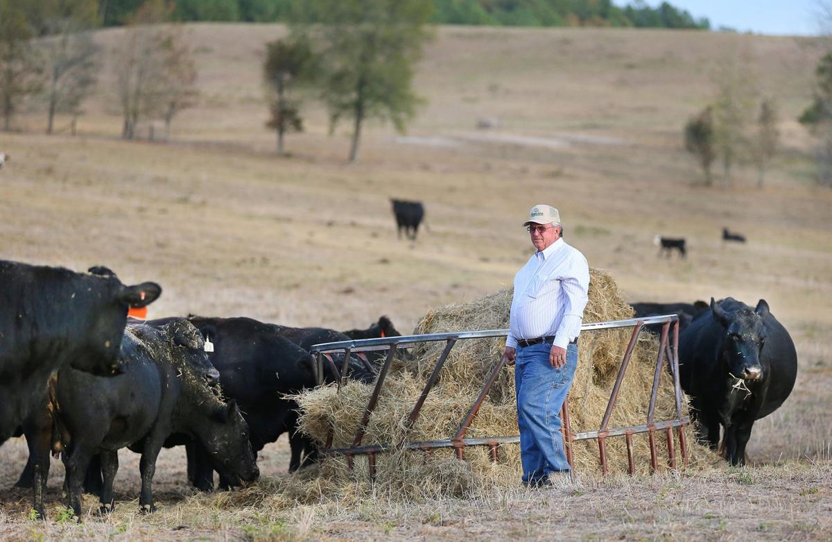 North Alabama farmers, like many in Southeast, struggle to feed, water