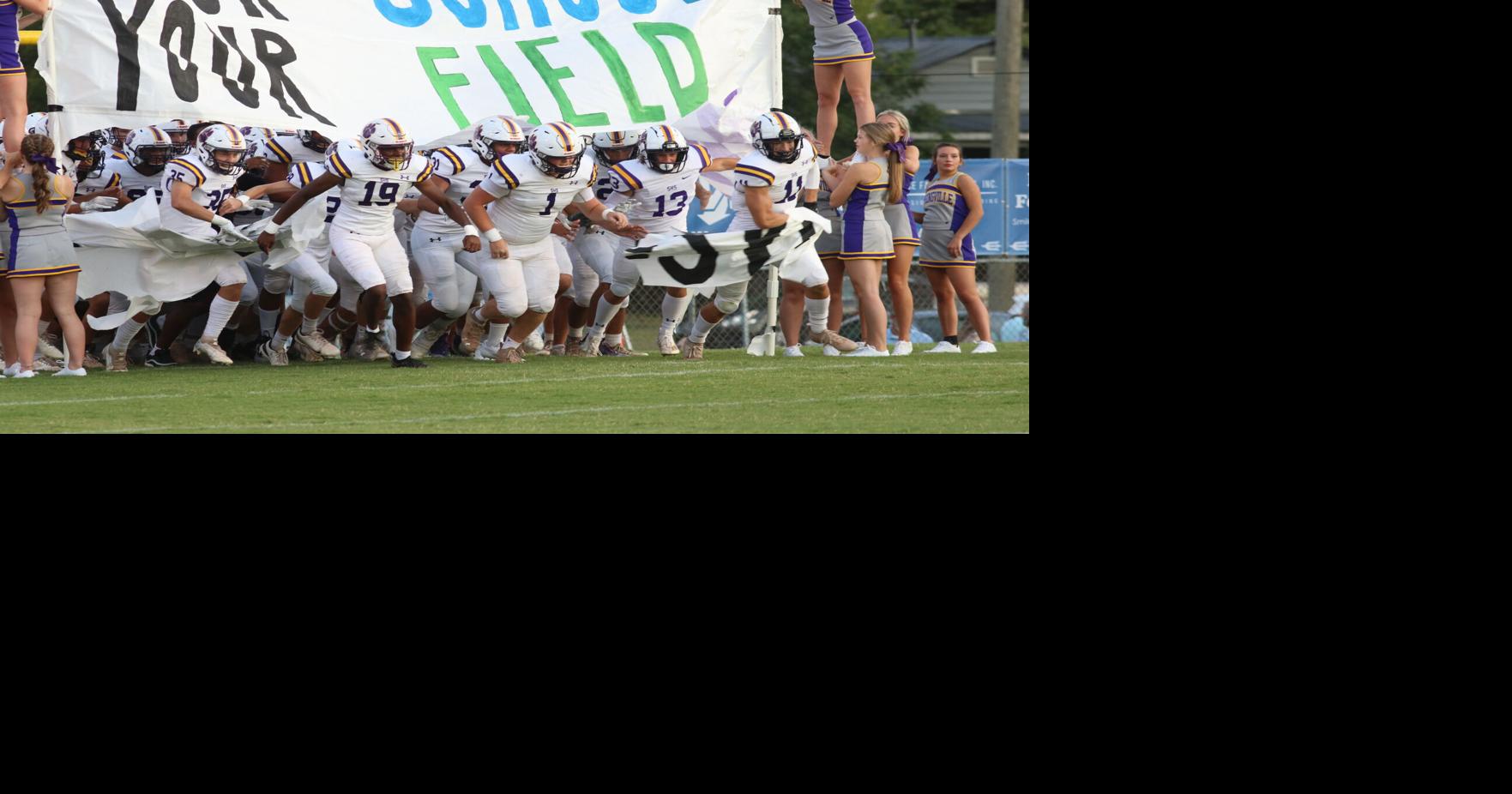 Board OKs bid for new turf at Springville High | The St. Clair Times ...