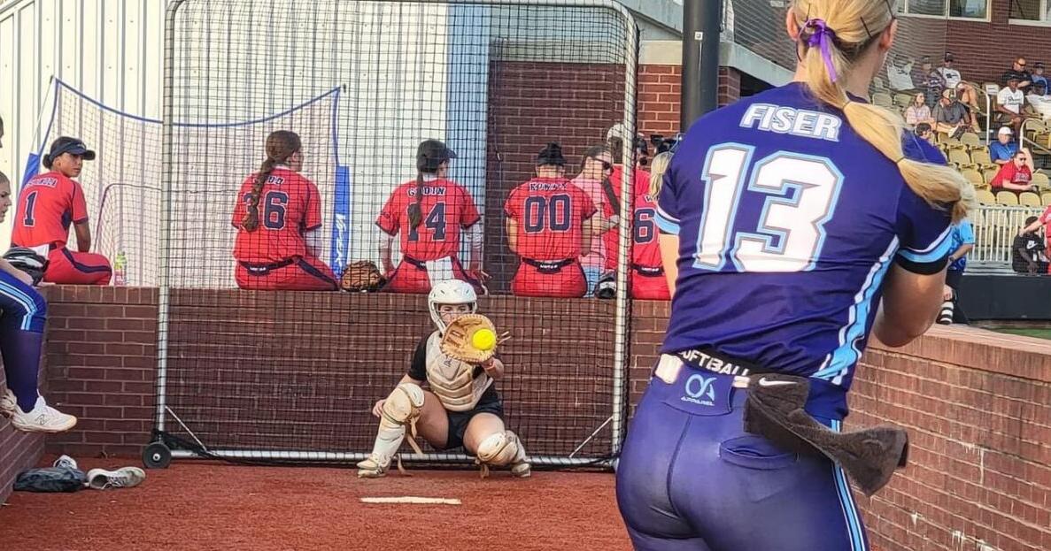 Prep softball: Vipers' playoff bullpen features White Plains softball star - Vimarsana News