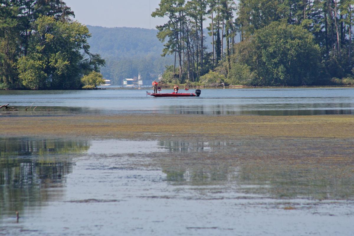 Outdoors Lake Guntersville,a jewel of the Southeast Sports