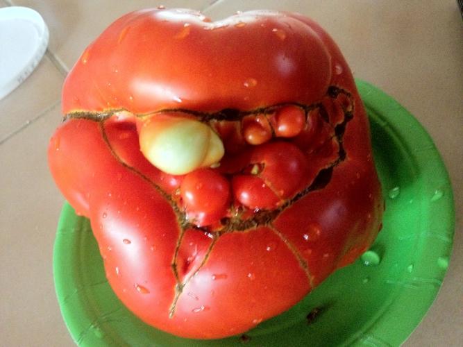 Ugly Tomato Contest | Slideshows | annistonstar.com