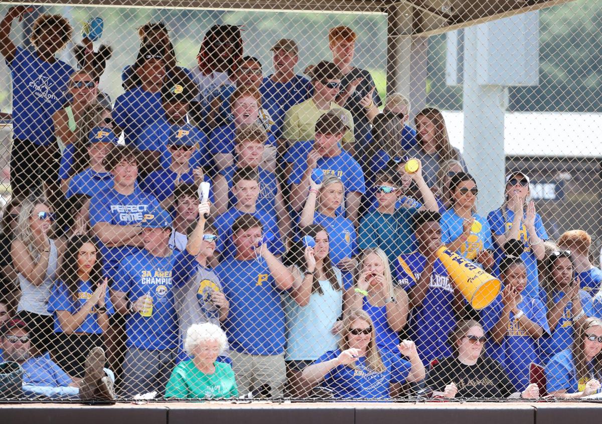 Piedmont vs Mobile Christian softball