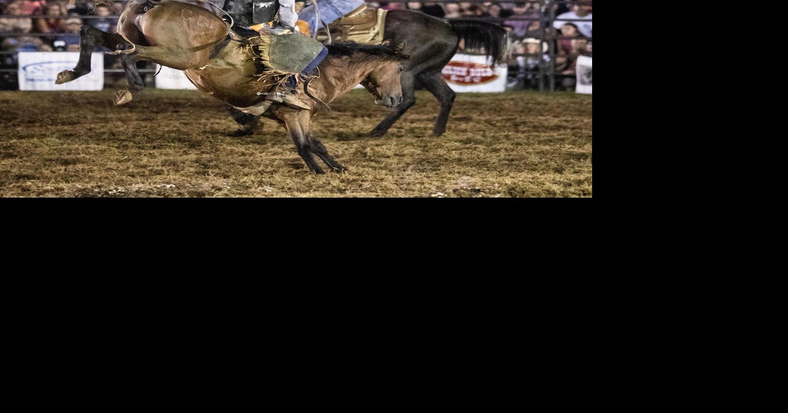 Bulls on the Lake sees impressive turnout last Saturday News