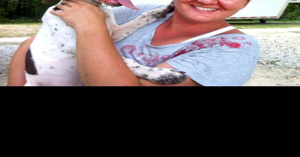 Big River Kennels LLC of Pell City provides boarding, training services