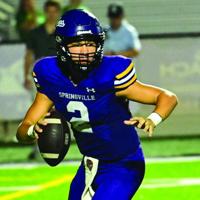 Justin Springvale Springville scores in final seconds to break Lincoln's heart, picking ...