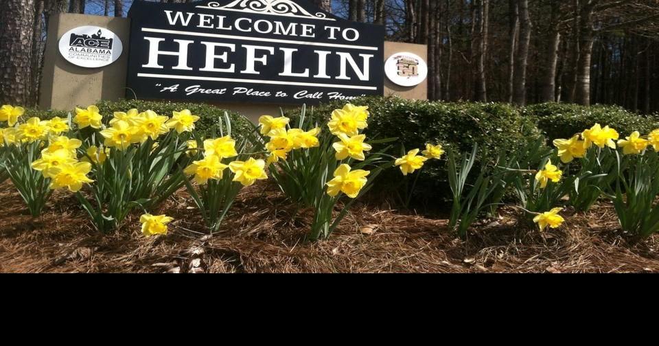 Heflin City Council will apply for sewerage improvement grant Cleburne County