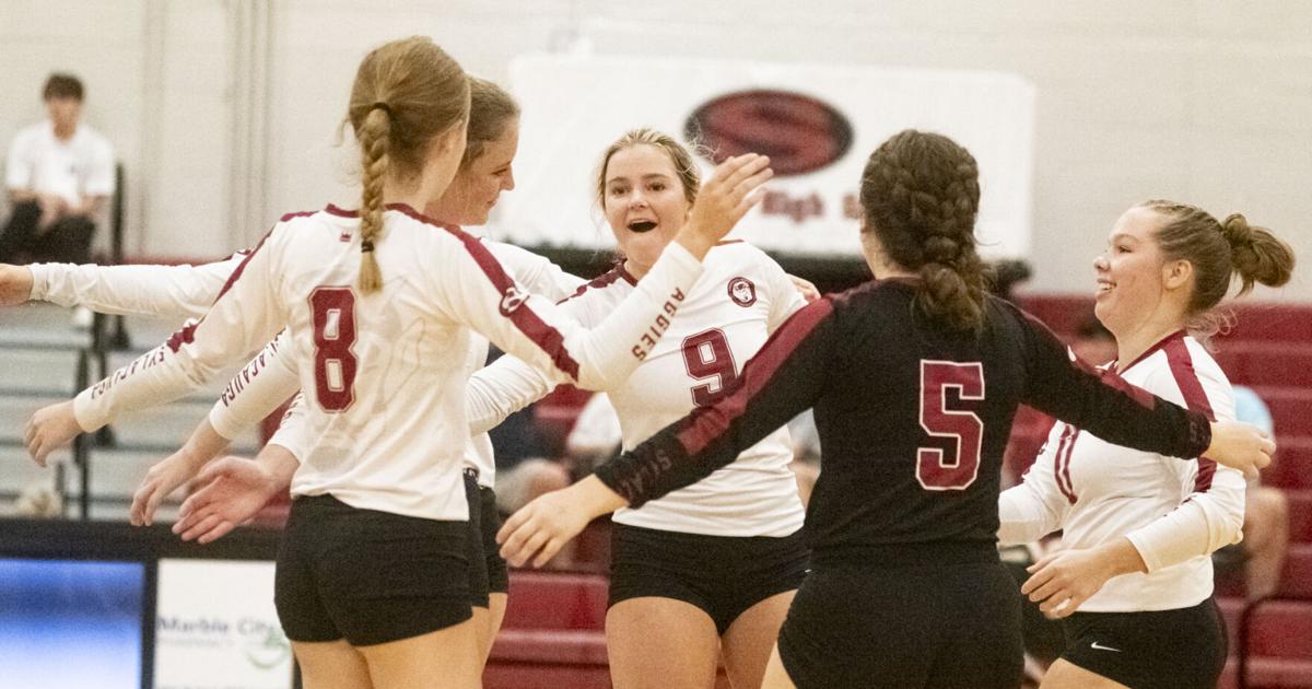 AnnistonStar.com - Photos: Sylacauga vs. Lincoln - Volleyball image