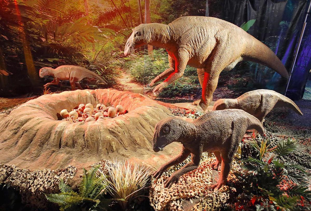 traveling animatronic dinosaur exhibit