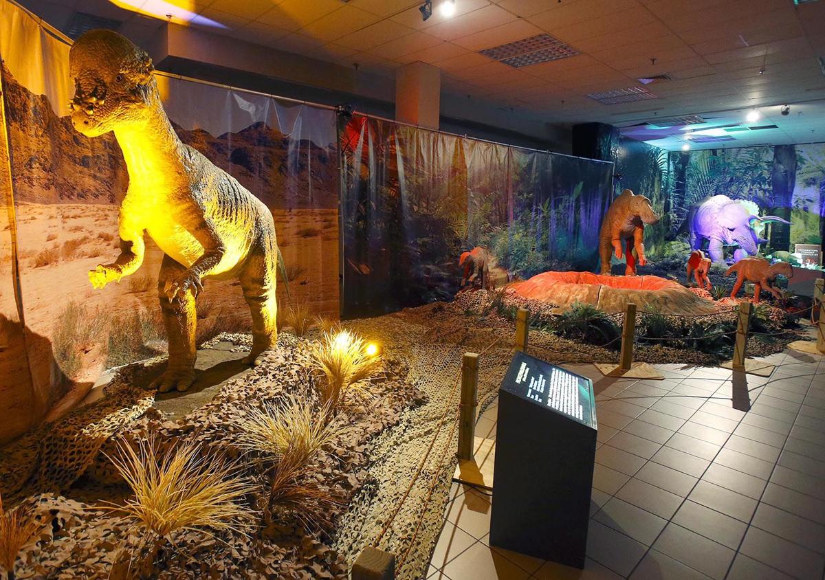 interactive dinosaur exhibit