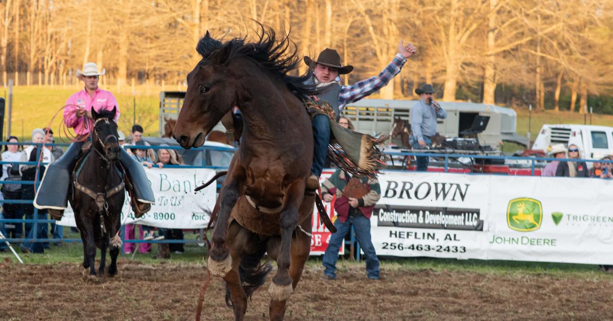 Rodeo held at Bennett Farms | Cleburne County | annistonstar.com