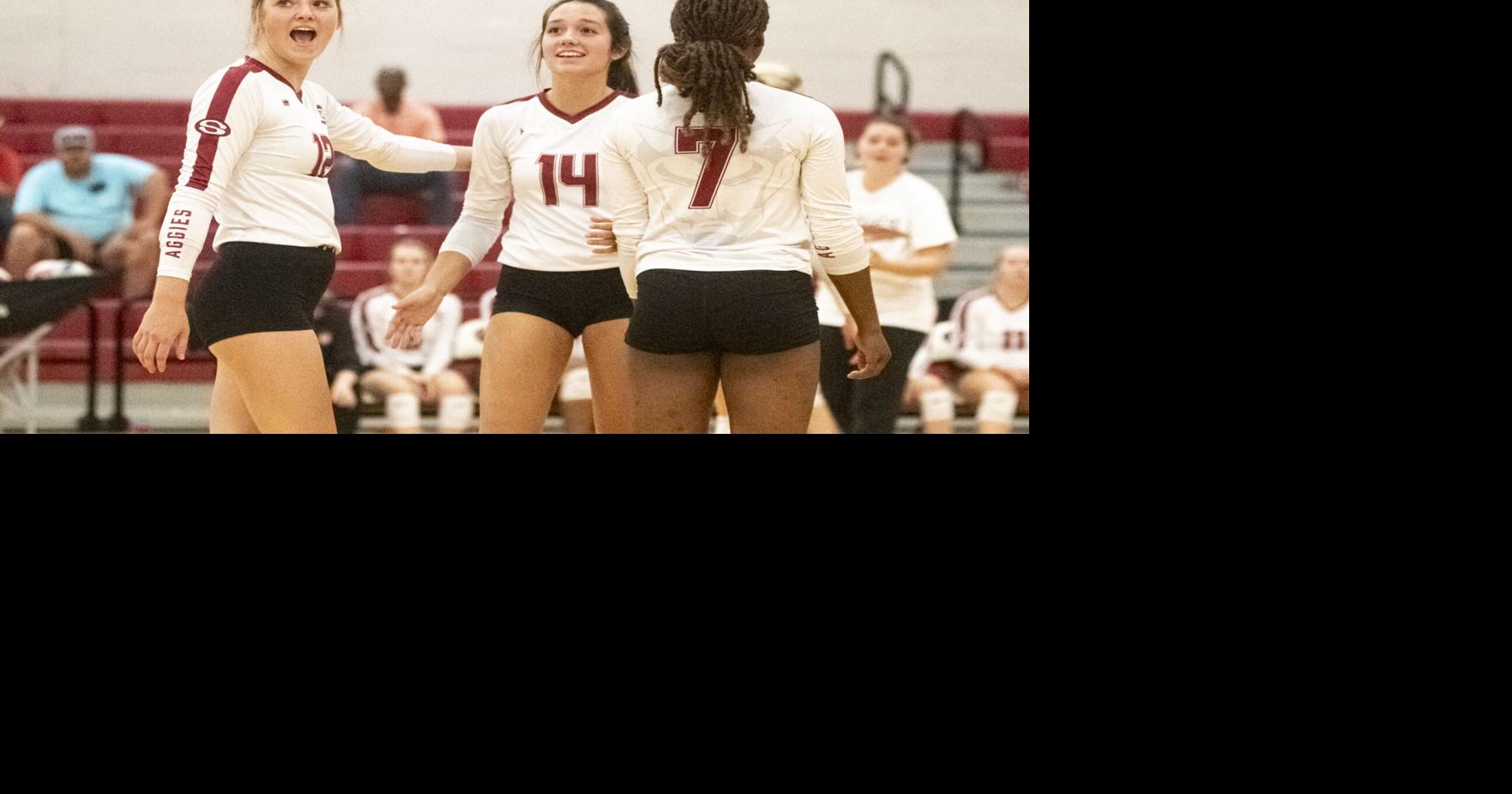 AnnistonStar.com - Prep volleyball: Sylacauga, Munford, Winterboro score victories image