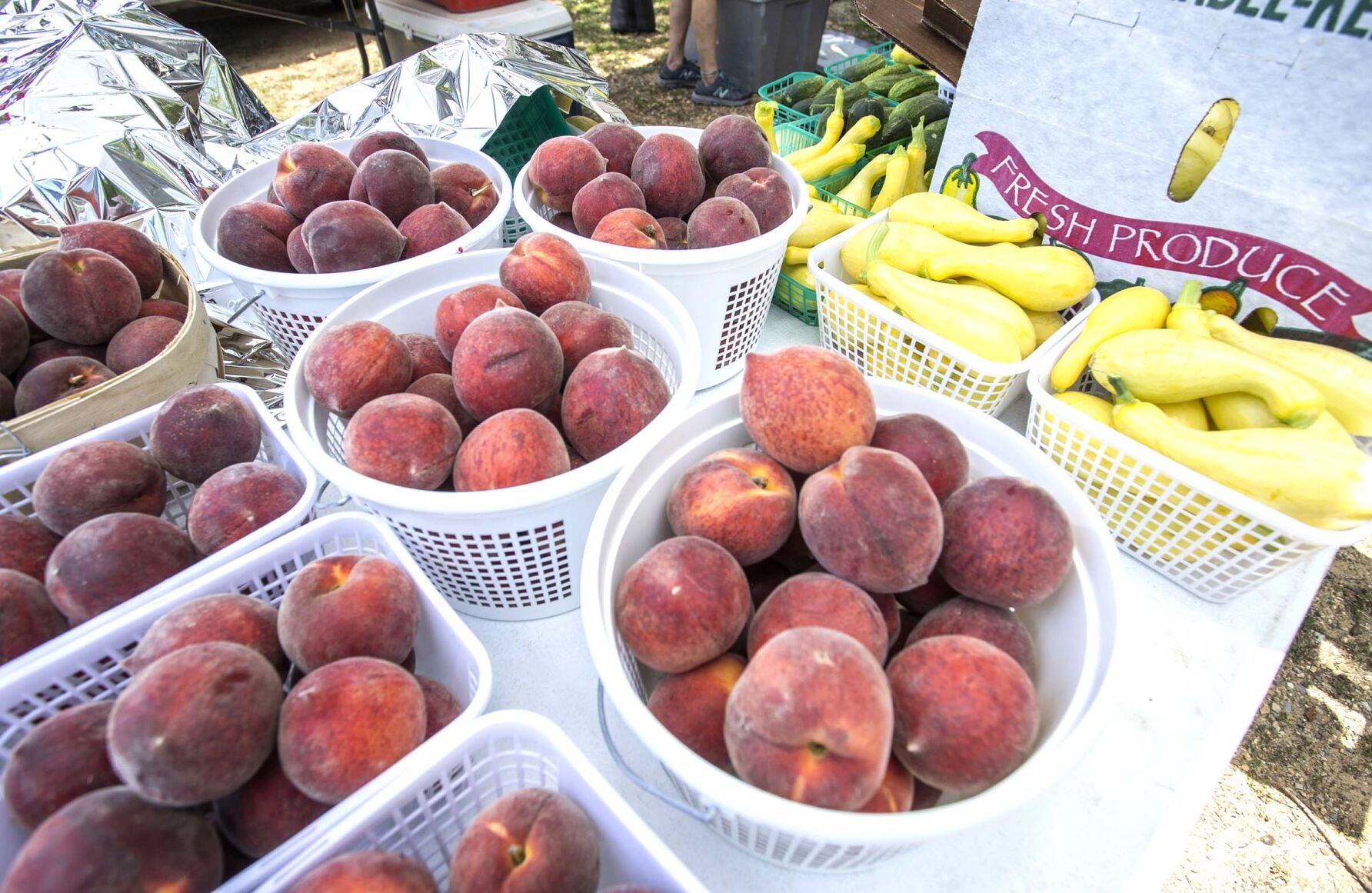 St. Clair County Pell City Farmers Market set to open May31 | The