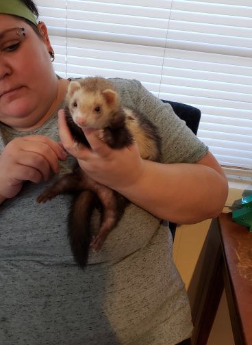 League for Animal Welfare: Luna