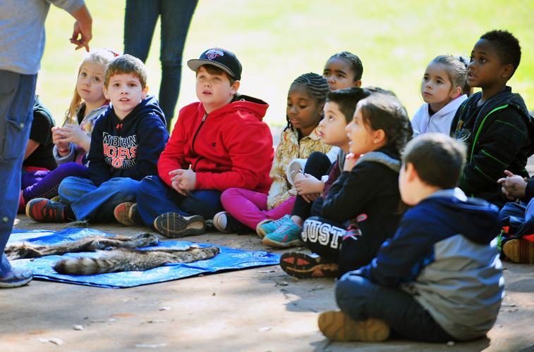 DeArmanville Elementary Field Trip Slideshows