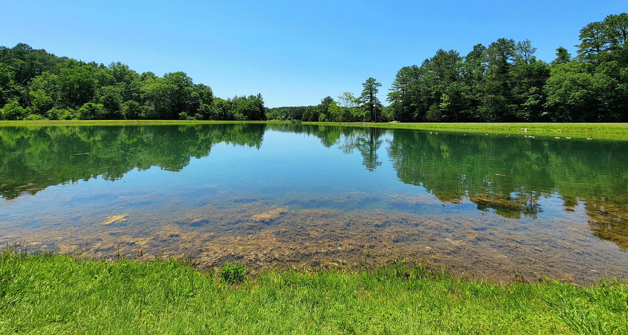 Weaver council debates keeping, returning or selling lake Weaver