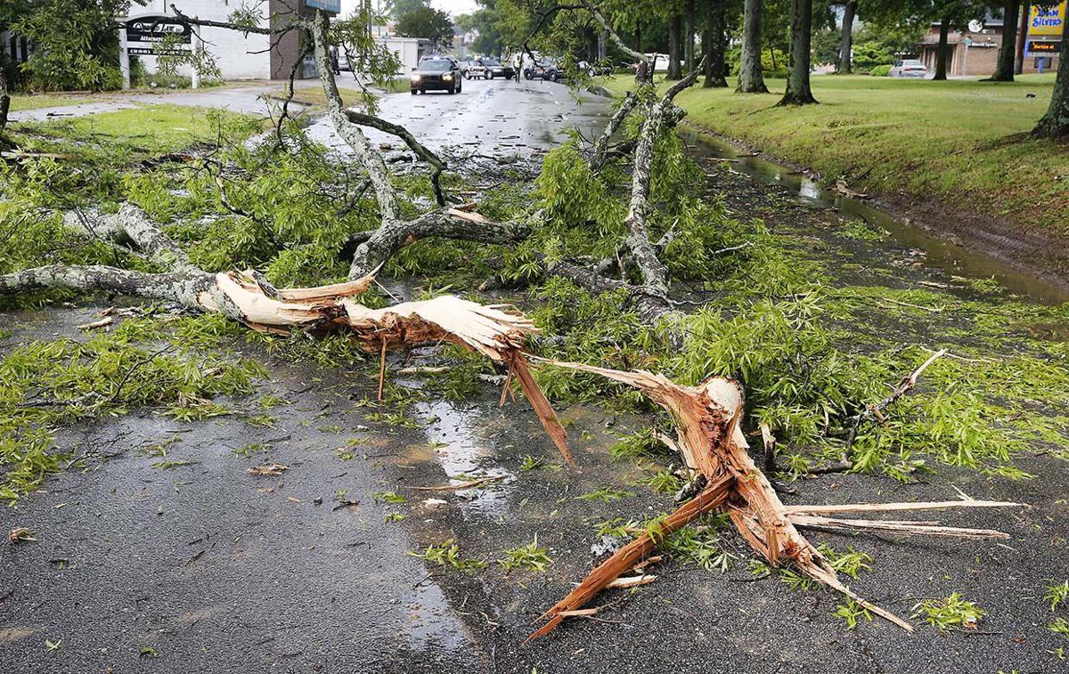 Quintard tree down