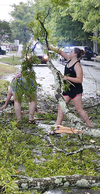 Quintard tree down