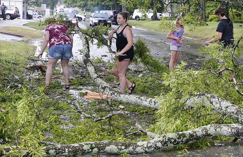 Quintard tree down
