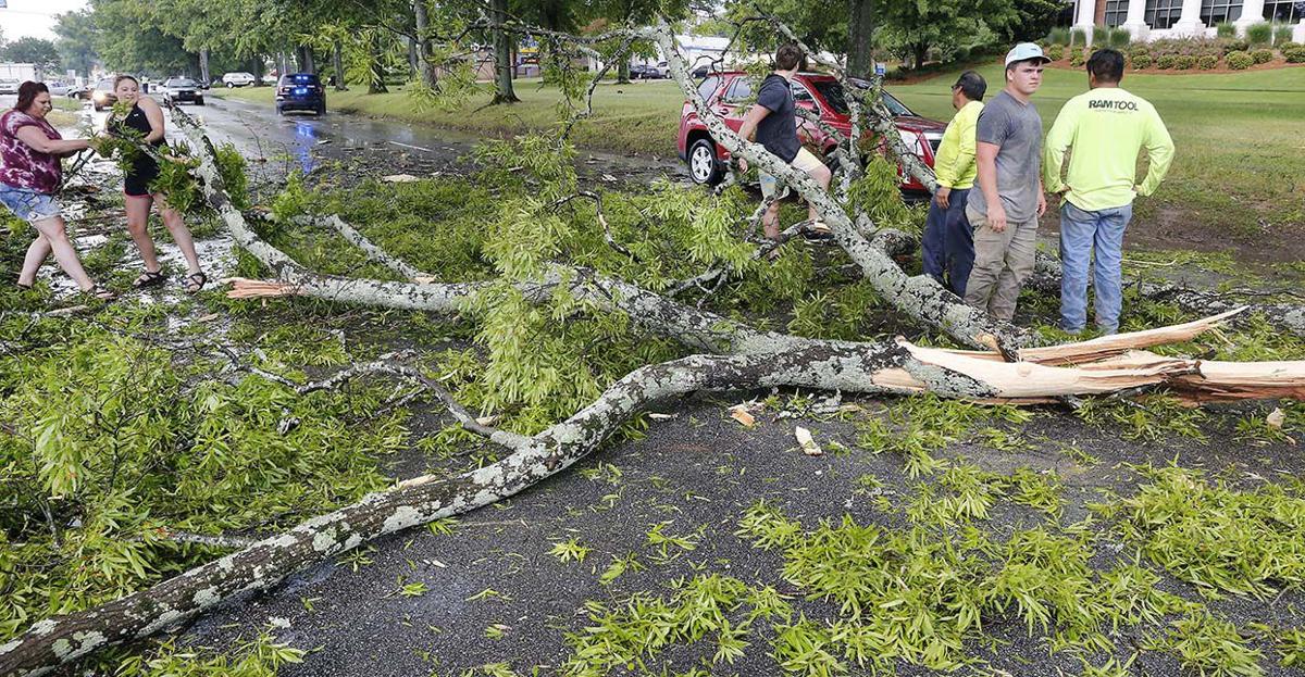 Quintard tree down
