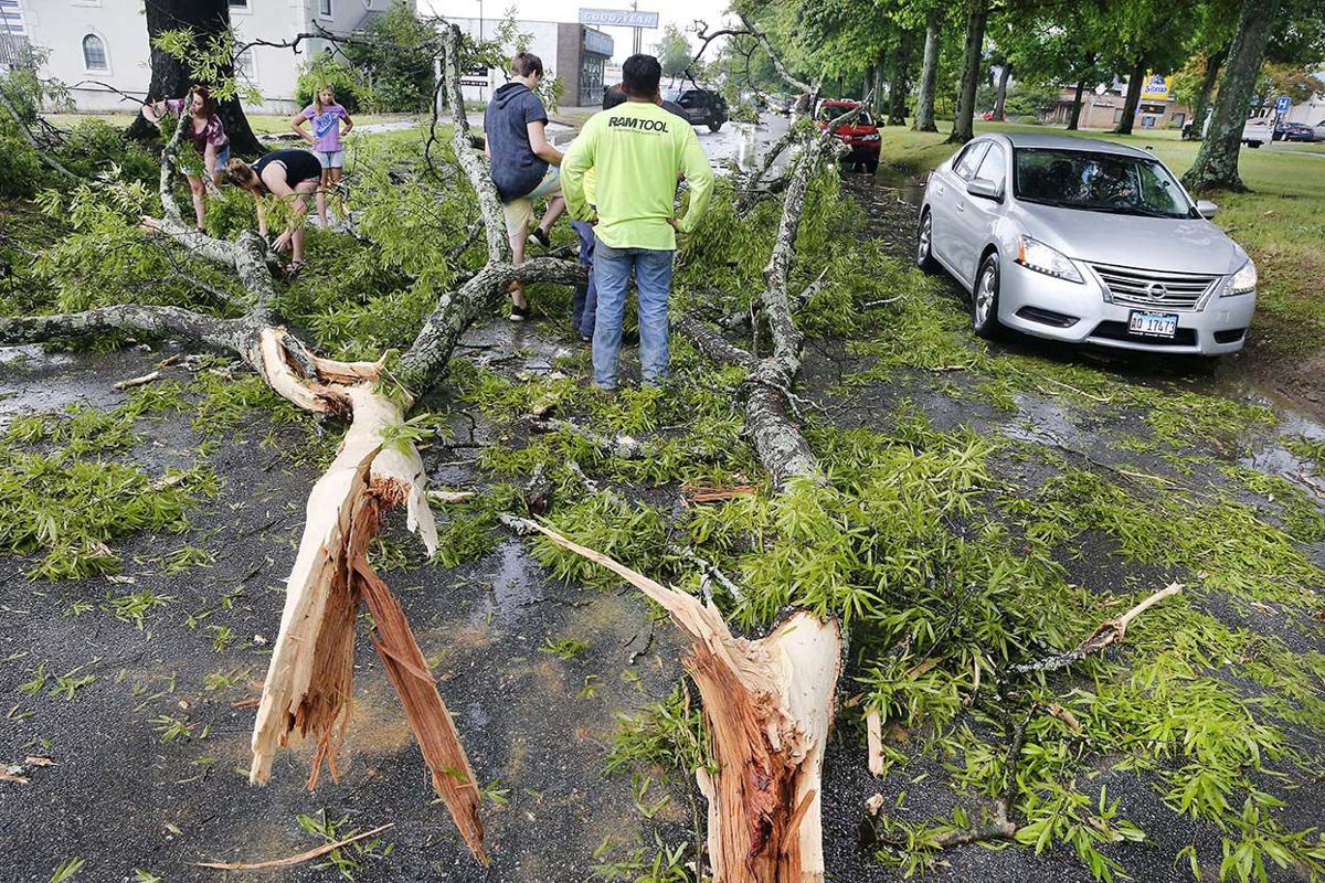 Quintard tree down