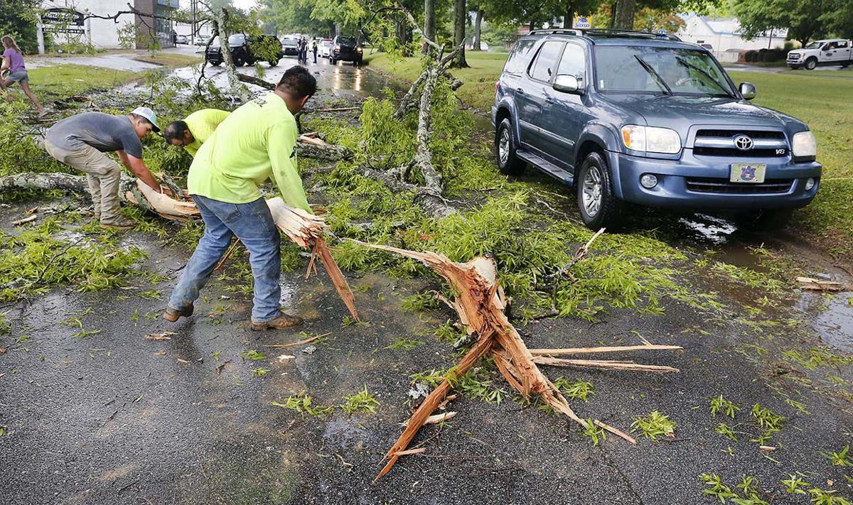 Quintard tree down