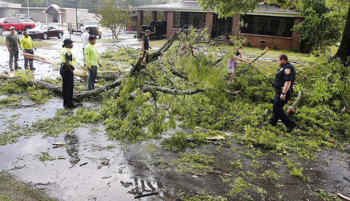 Quintard tree down